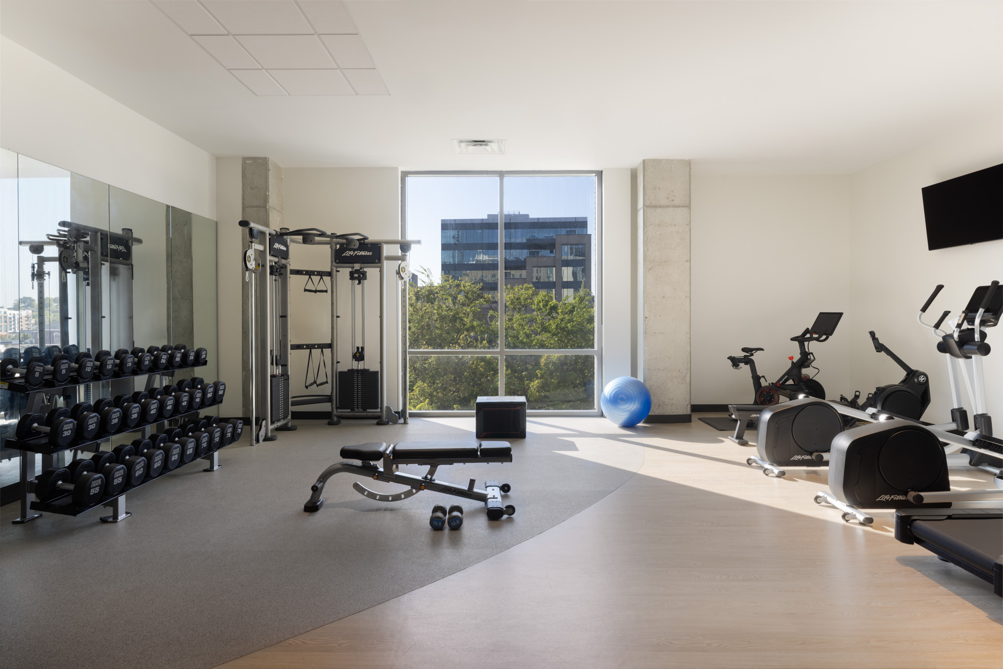 A modern gym with free weights, a cable machine, bench, exercise ball, stationary bikes, treadmills, large window, and a wall-mounted TV.