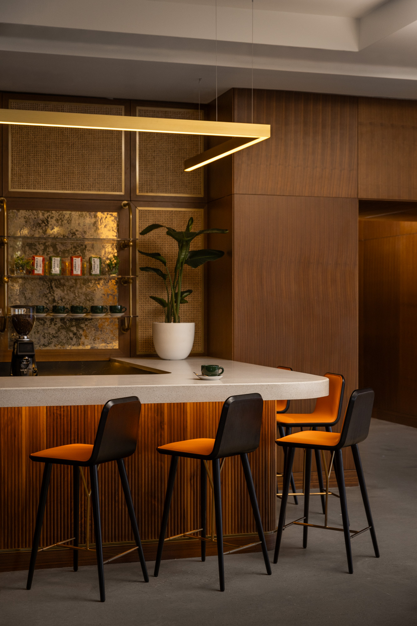 A modern bar area with a white countertop, three orange and black barstools, a potted plant, shelves with cups, and a minimalist gold ceiling light fixture.