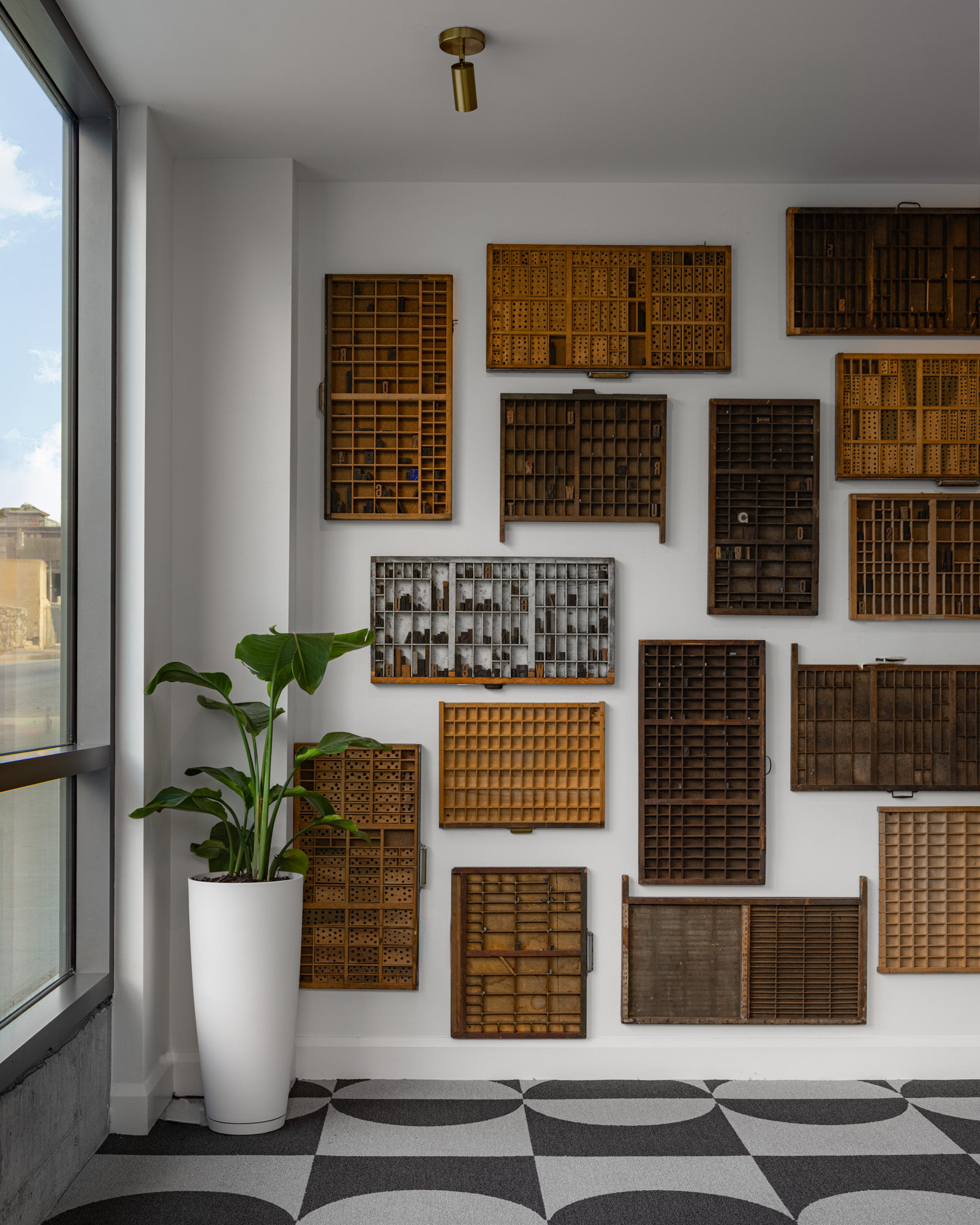 A white wall displays assorted vintage wooden type cases arranged in a grid. A tall green plant in a white pot stands nearby on a patterned black and white floor.